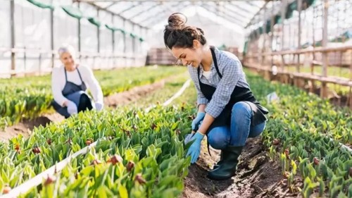 Ziraat Bank Greenhouse Loan