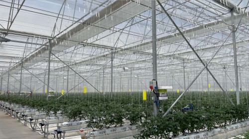 Creating Microclimates with High-Pressure Misting Systems