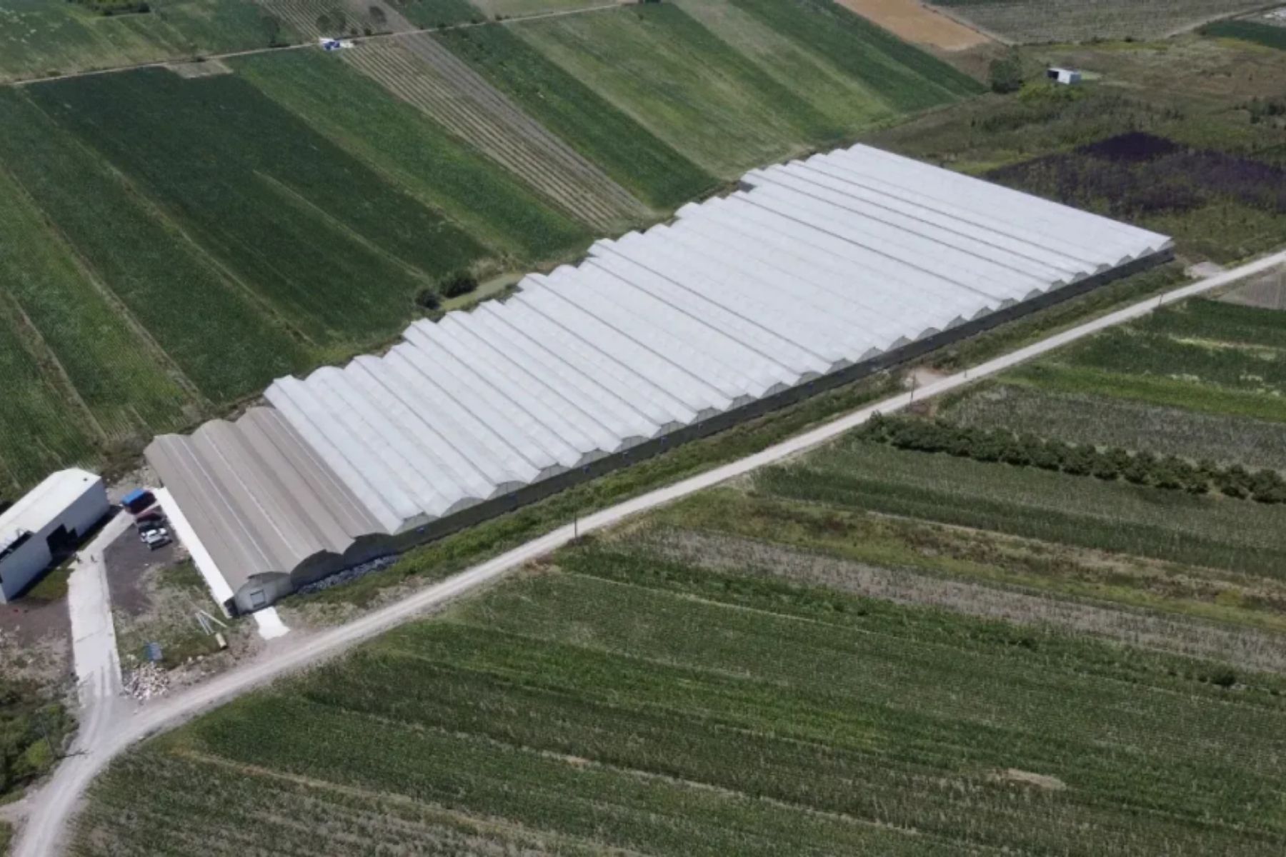  25,000 m² Greenhouse Facility in Sakarya 