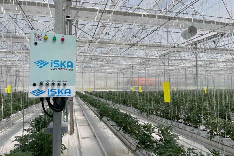  Greenhouse Grant Supports 