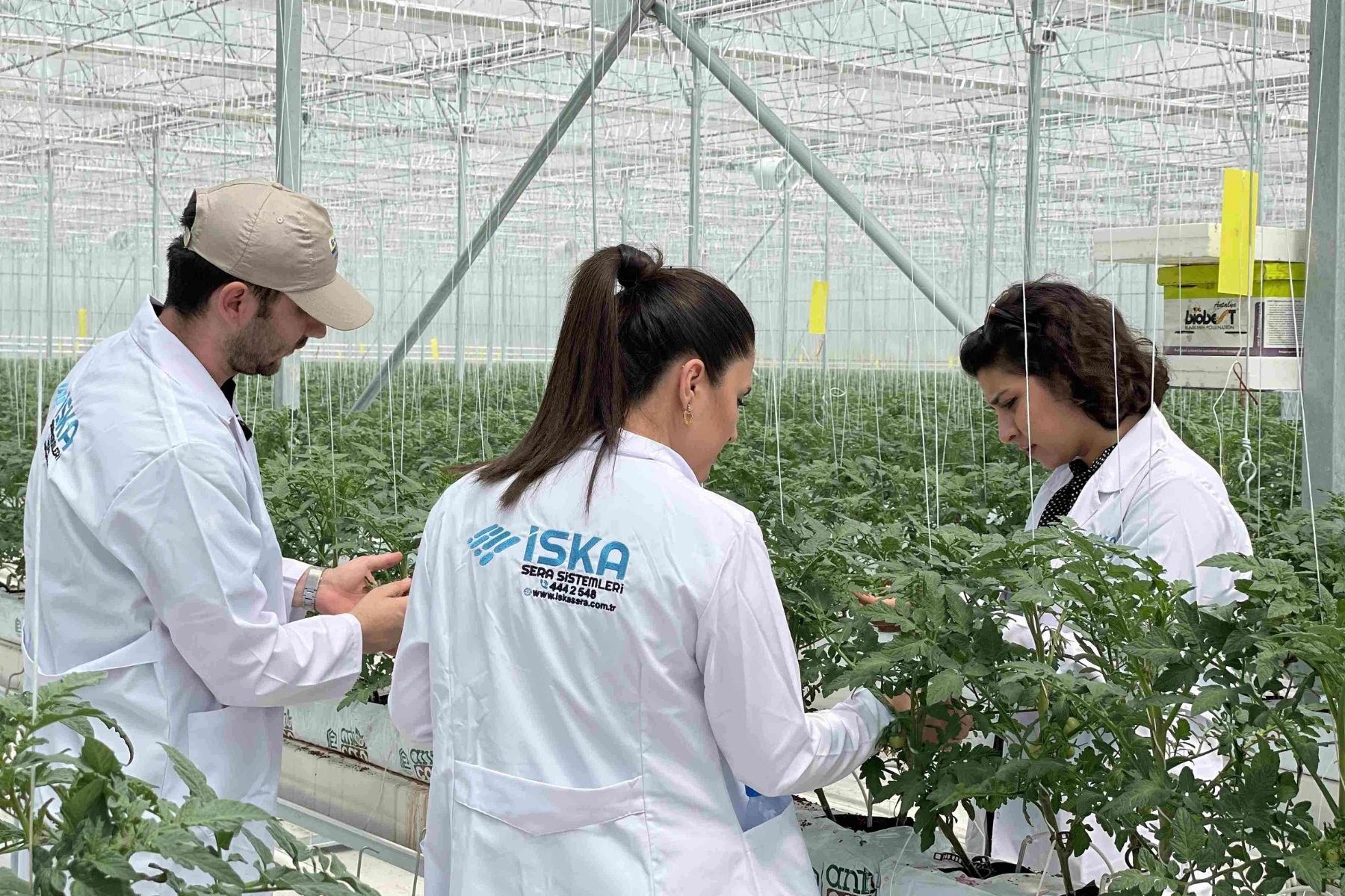  Information and Support for Greenhouse Organized Industrial Zones and Investments (TDİOSB) 