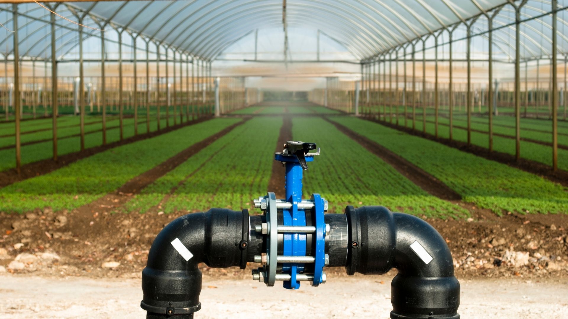  Greenhouse Systems: The Foundation of Modern Agriculture 