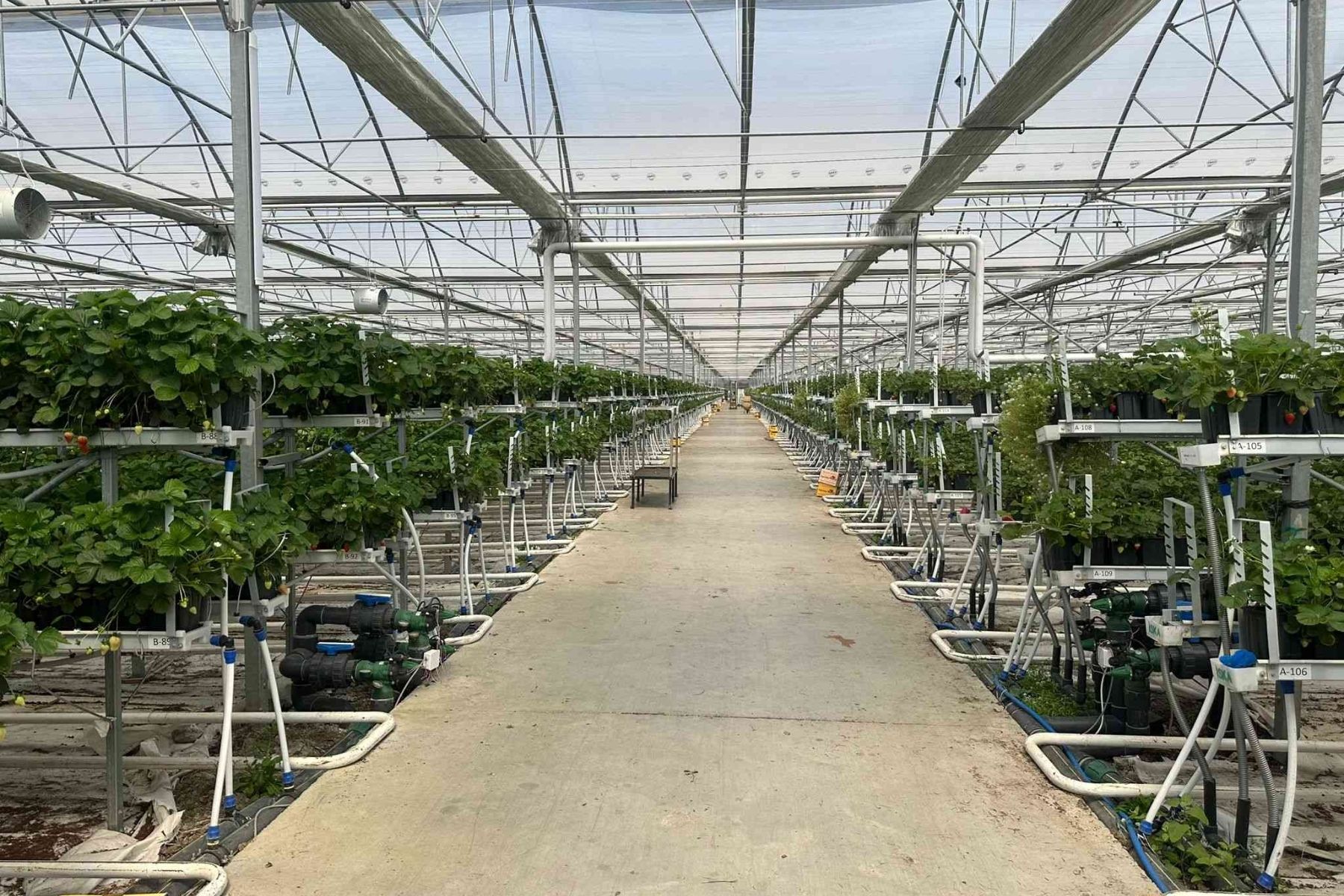  Topraksız Tarımda Yeni Nesil Çözümler 