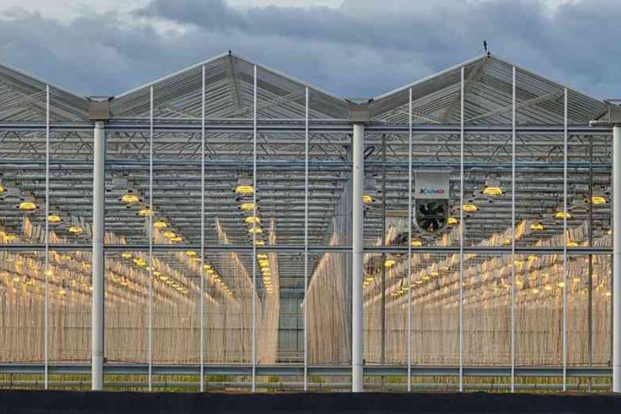  The Use of Glass Greenhouses in Turkey 