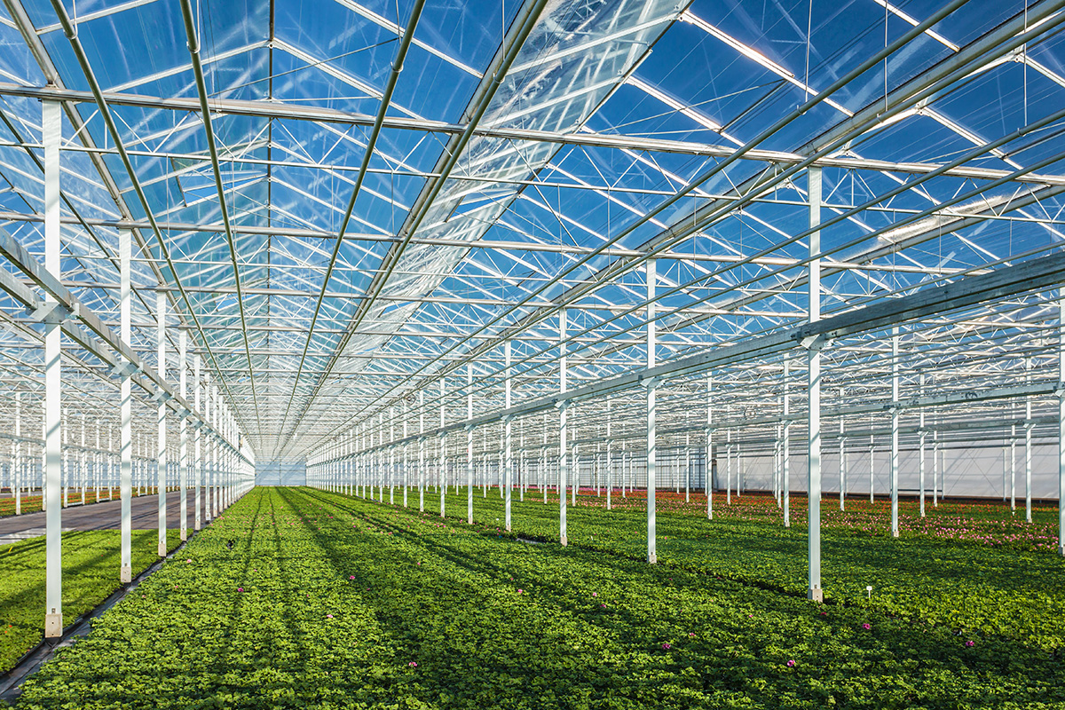 Professional Greenhouse Installation Service Advantages and Features