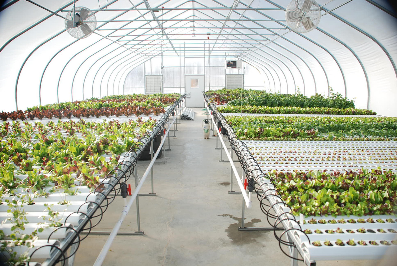 Hidroponik Sera Sistemleri