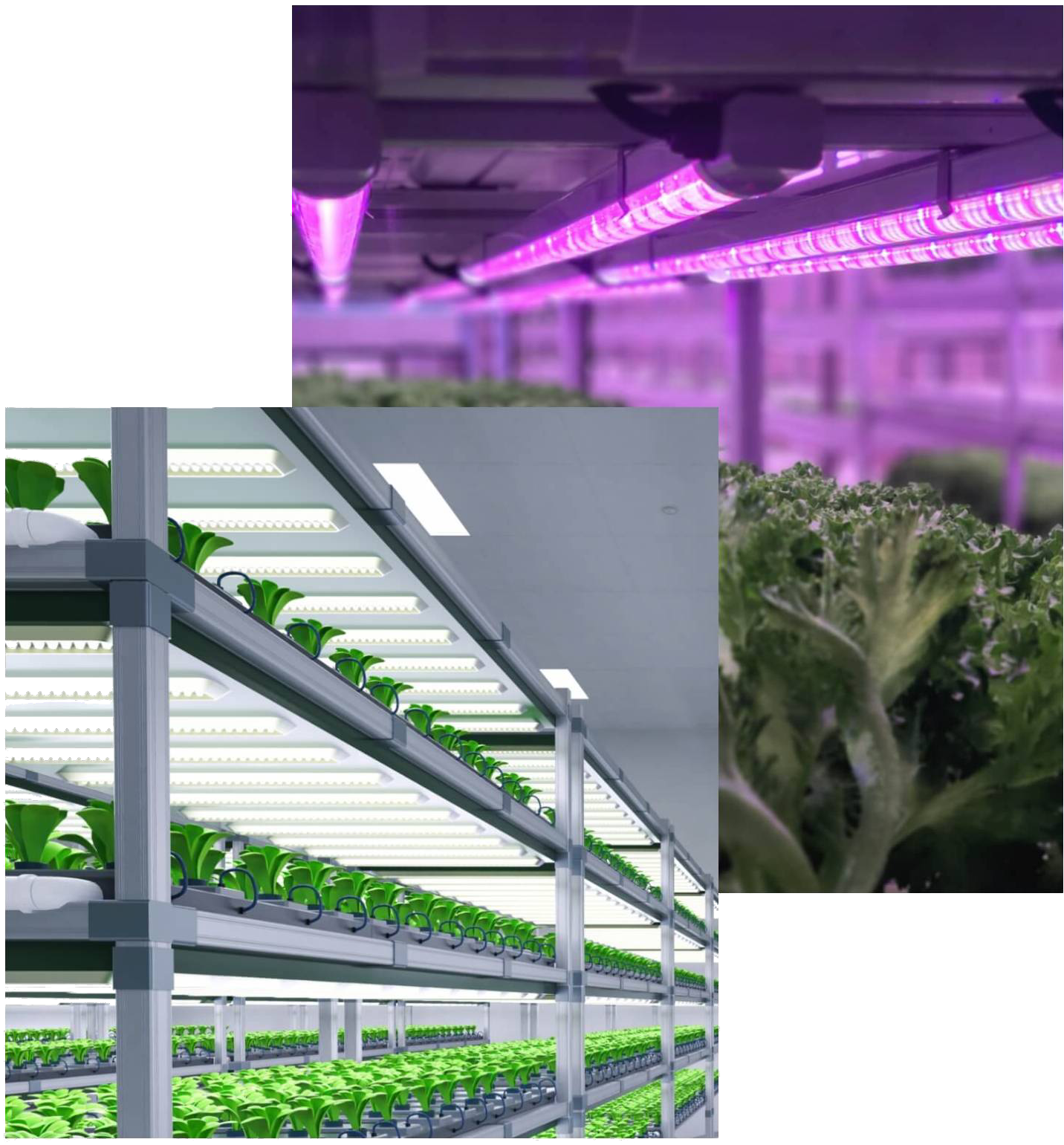 Modern Sera Kurulumu