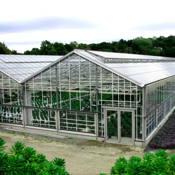İSKA Greenhouse | Turnkey Greenhouse Projects and Professional Greenhouse Installation | Horticulture Company