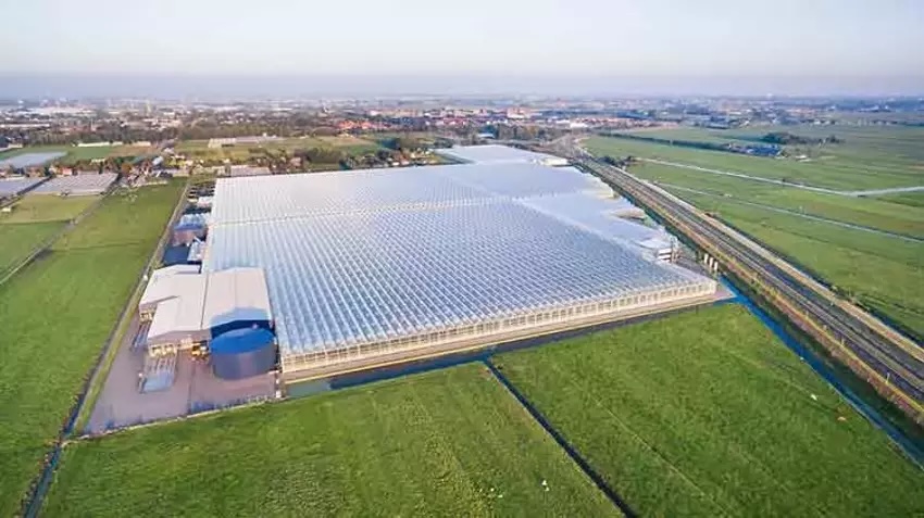 İSKA Greenhouse - Turkey's Top Greenhouse Manufacturer | Adana Greenhouse OSB