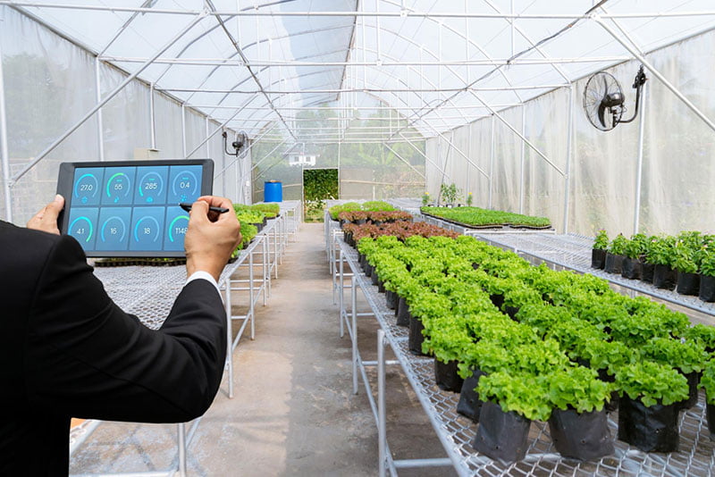 İSKA Greenhouse | Greenhouse Automation Systems and Modern Greenhouse Technologies | Greenhouse Manufacturers