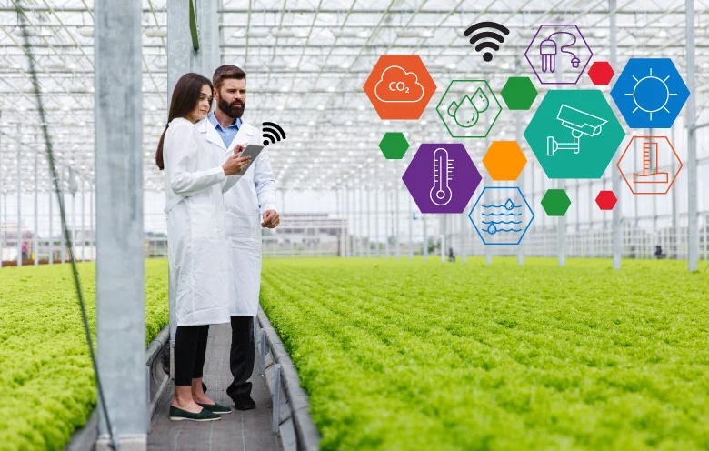 Modern Greenhouse Automation Systems and Control Panel