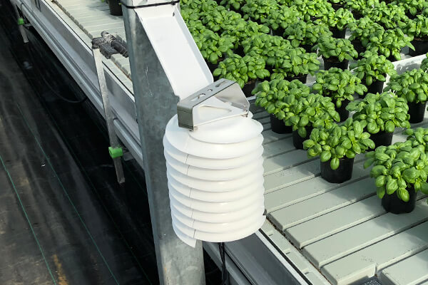 Sera Otomasyon ve Sensörler