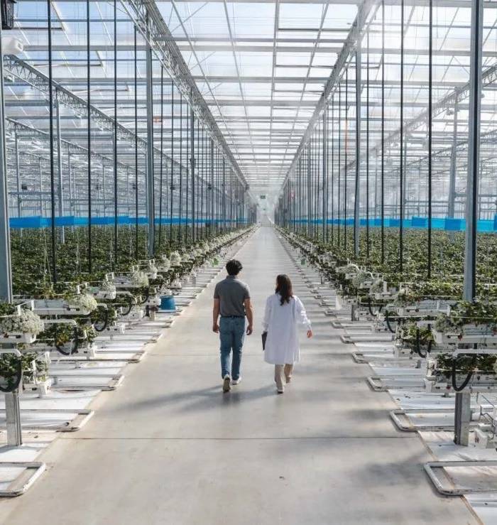 Kaliteli Sera Ekipmanları