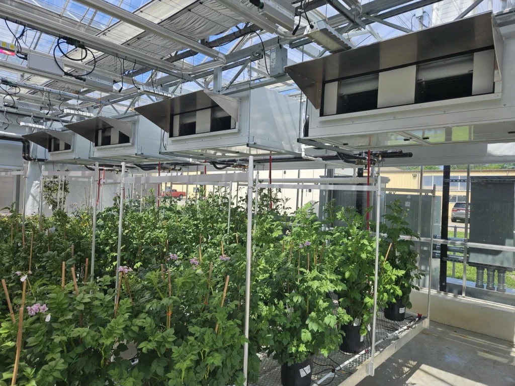 Sera İklimlendirme Sistemleri - Isıtma, Soğutma ve Havalandırma Çözümleri