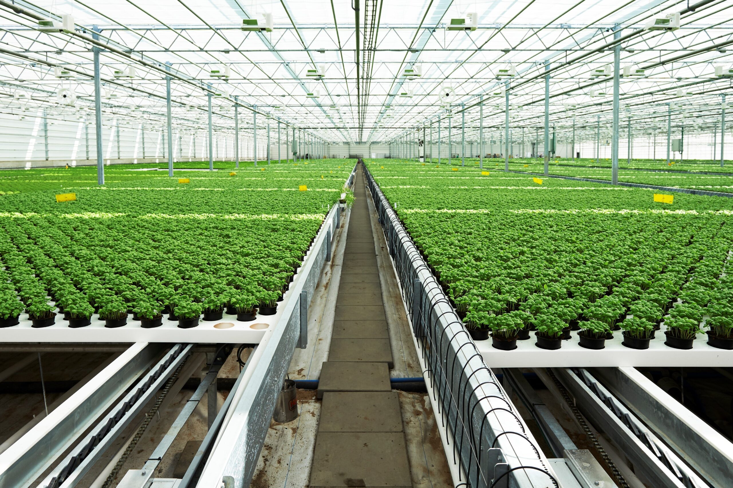 Profesyonel Sera Sistemleri Karşılaştırma, Sera Yapımı ve Sera Kurulum Maliyetleri