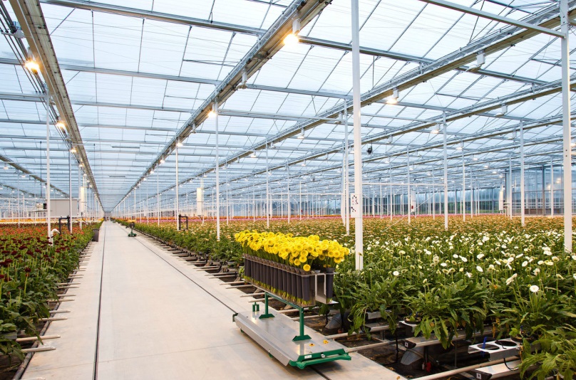 Modern Venlo Sera Sistemleri, Tam Otomasyonlu Sera Kurulumu ve İklim Kontrol Sistemleri