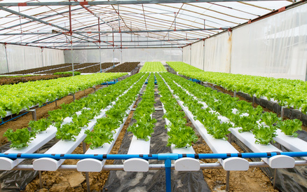 NFT Pipe System - Professional Soilless Farming Solutions