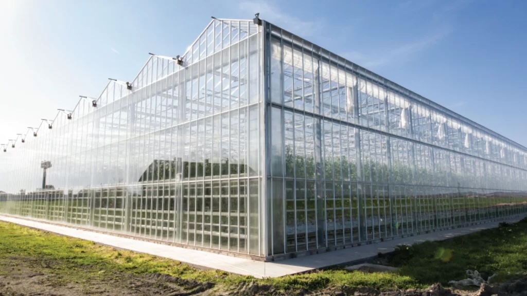 Devlet Destekli Topraksız Tarım Projeleri - Sera Yatırım Teşvikleri