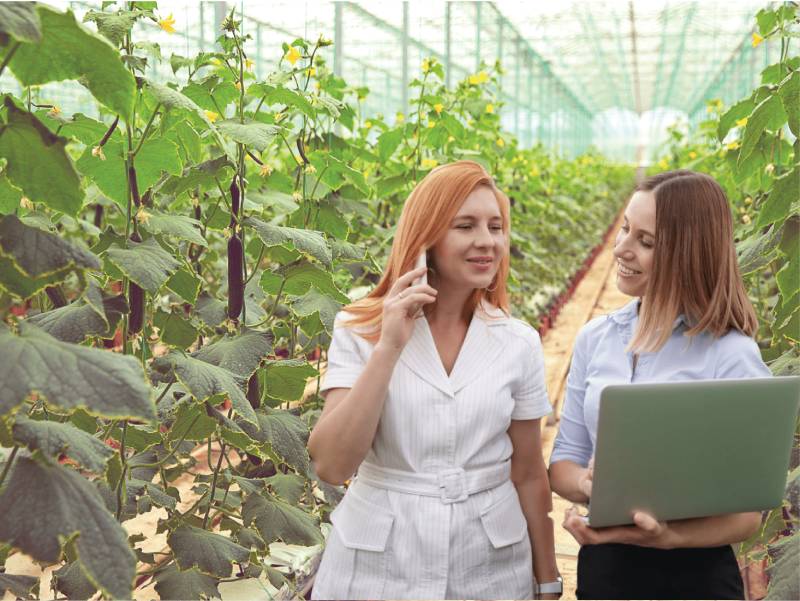 Profesyonel Hidroponik Sistem Kurulumu - Topraksız Tarım Danışmanlığı