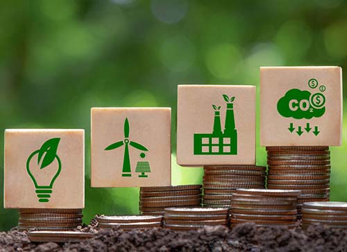 Topraksız Tarım Yatırım Planlaması - Sera Kurulum Maliyeti