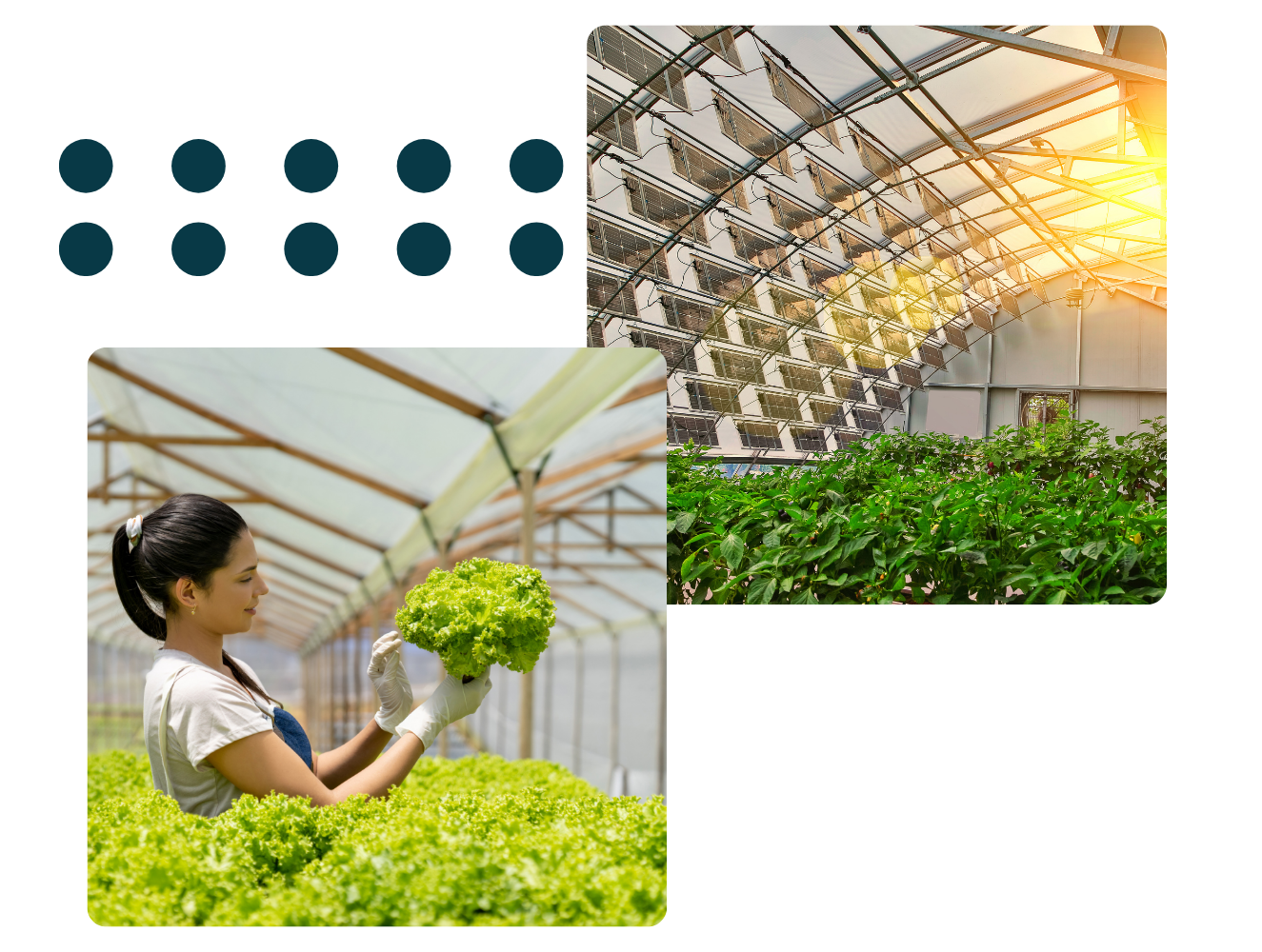 Teknoloji ve Uzmanlıkla Şekillenen Hizmetler