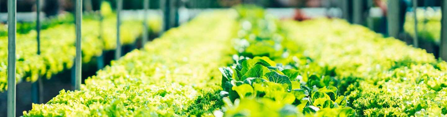 Birlikte Çalıştığımız Markalar