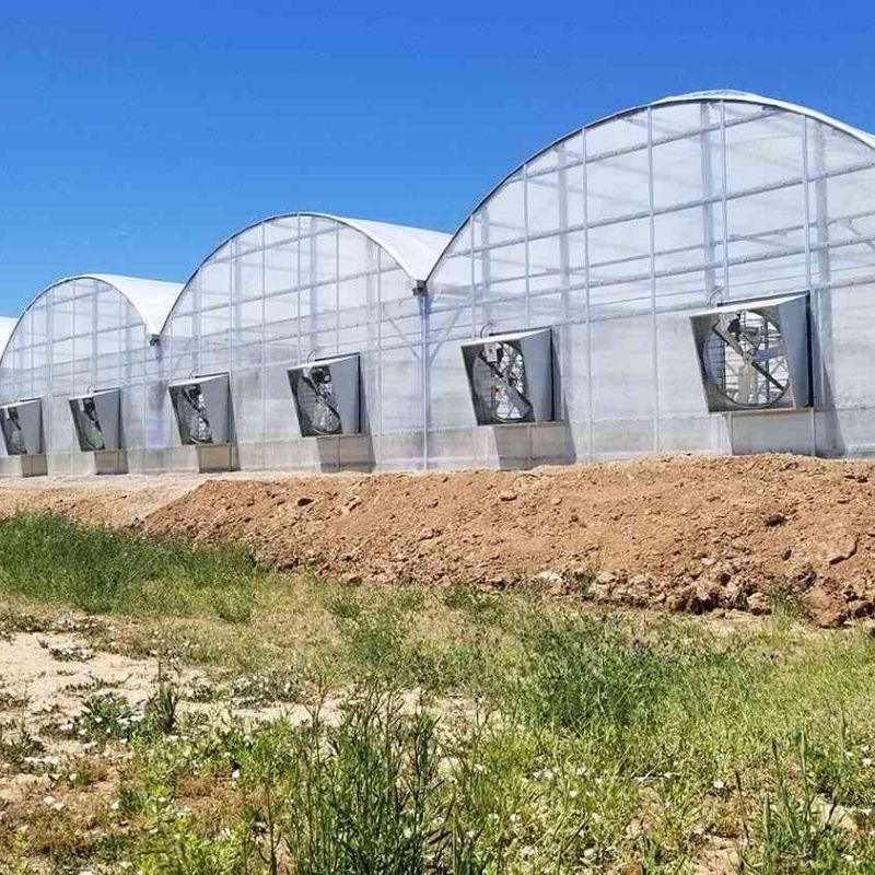 BATEM - ANTALYA - FİDELİK 1