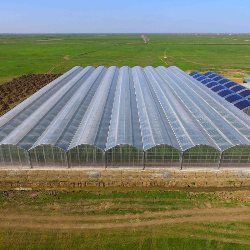 DOVVA TİC. LTD. ŞTİ - ŞANLIURFA - TOPRAKLI SEBZE SERASI 1