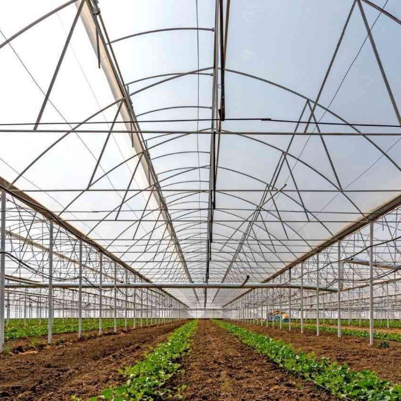 HARMONY İNŞAAT - ADANA - TOPRAKLI SEBZE SERASI 1