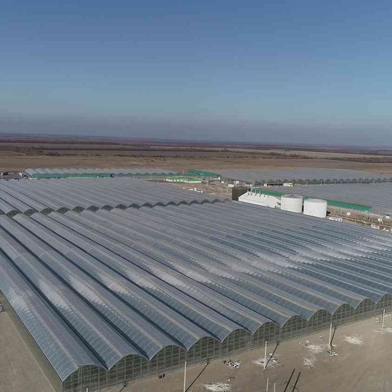 KAF İNŞAAT - İSFAHAN - TOPRAKSIZ DOMATES SERASI 1