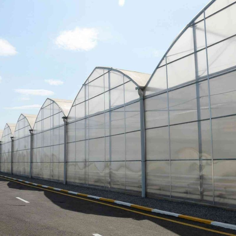 ORDU ÜNİVERSİTESİ - ORDU - ARGE SERASI 1