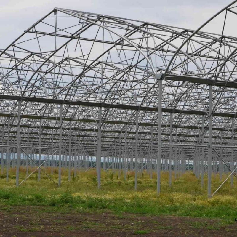 SİNAN KILIÇ - ADANA - MUZ SERASI 1