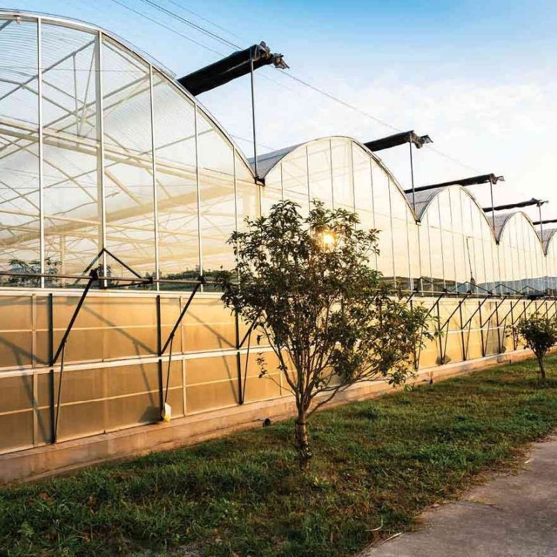 Vegacanada S.A. - Almeria - ARGE SERASI 1